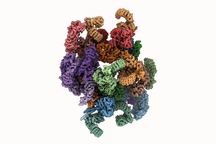 9T67 image