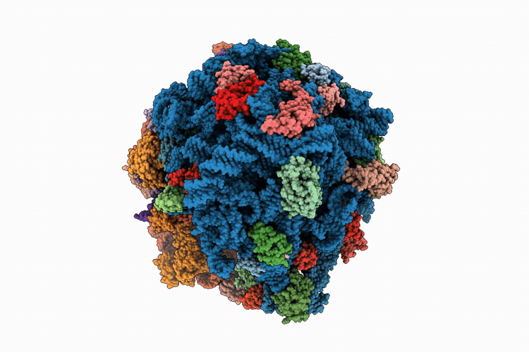 9T6H image