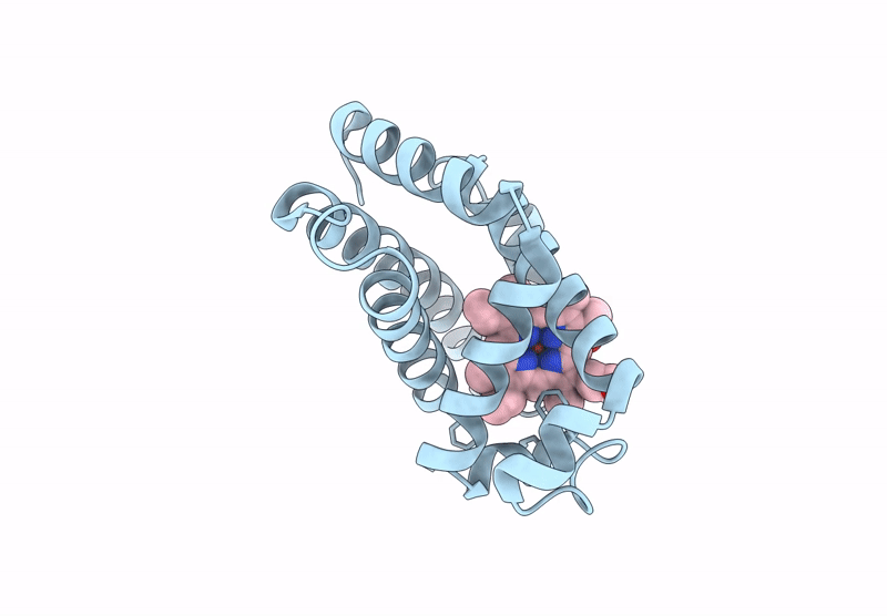 9T6V image