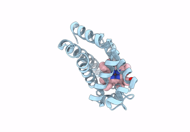 9T6W image