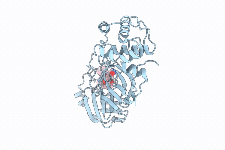 9T72 image
