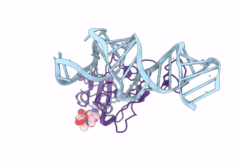9T74 image