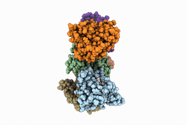 9T8A image