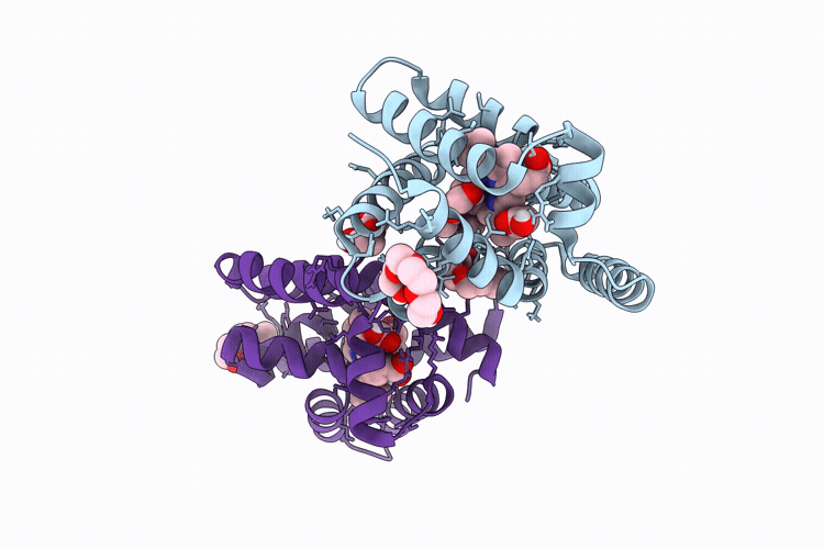 9T8B image