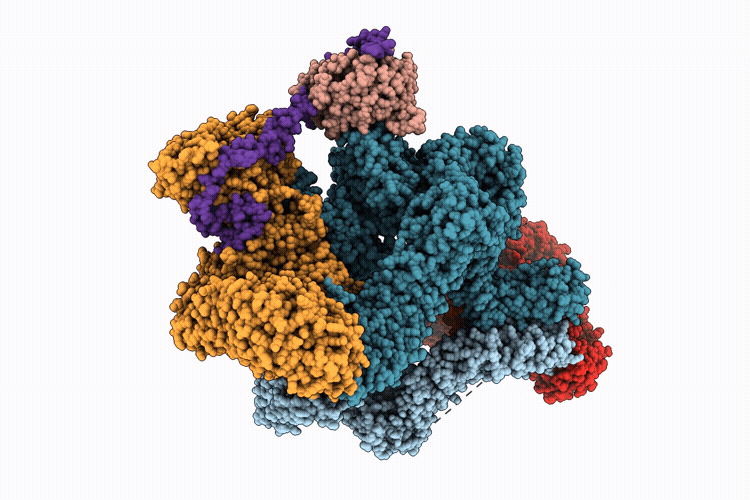 9T92 image