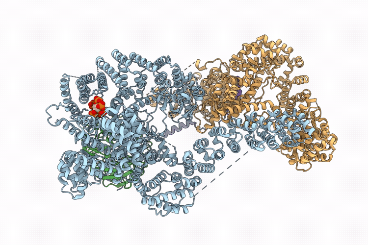 9T93 image