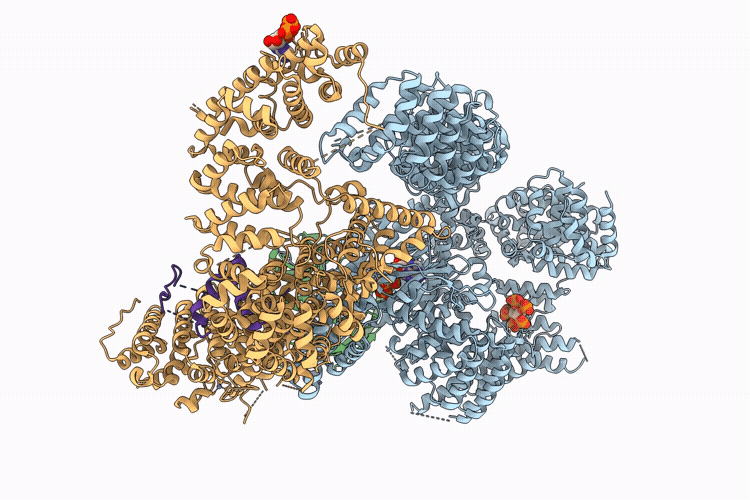 9T94 image
