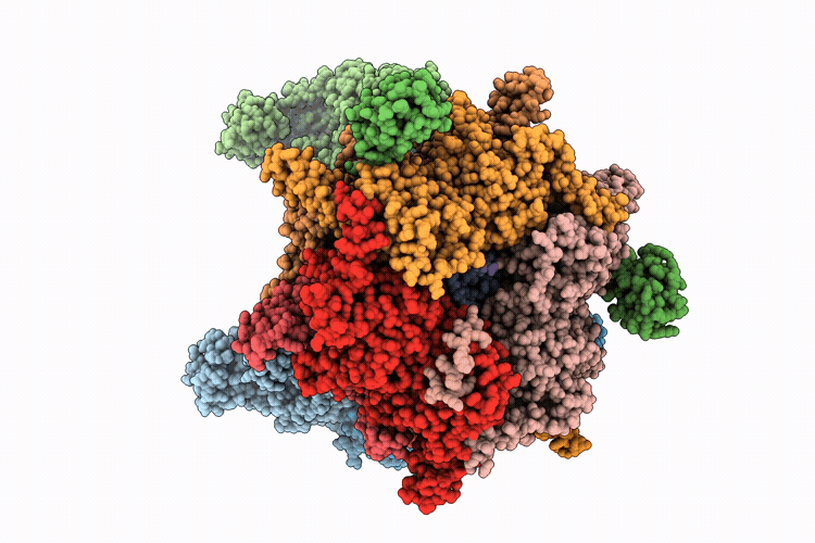 9T97 image