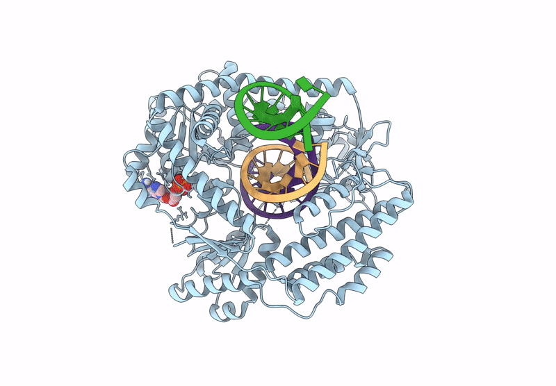 9T99 image
