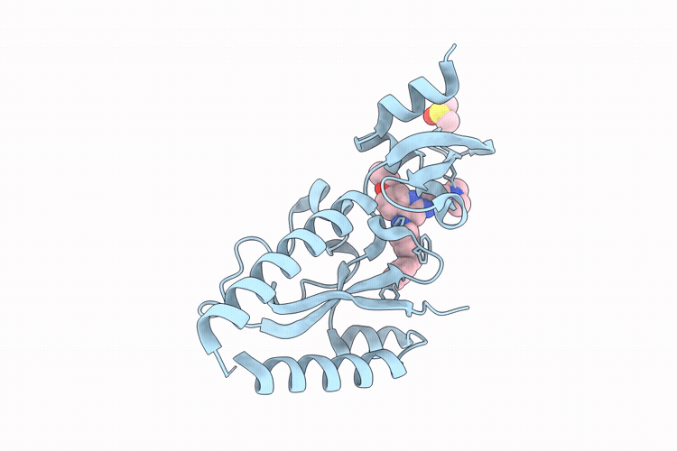 9T9E image