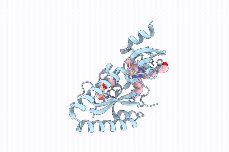 9T9G image