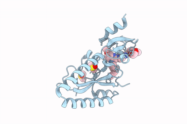 9T9H image