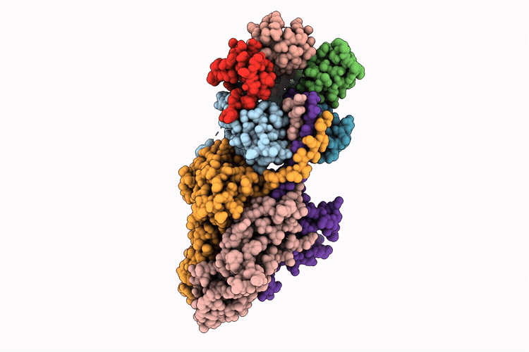 9T9R image