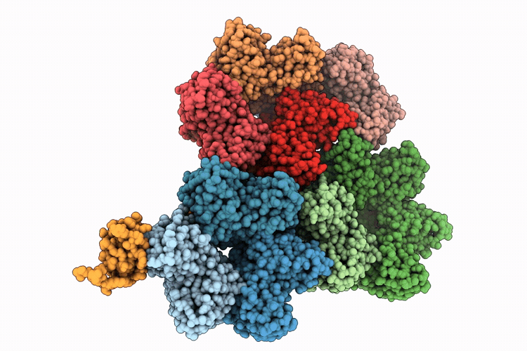 9T9V image