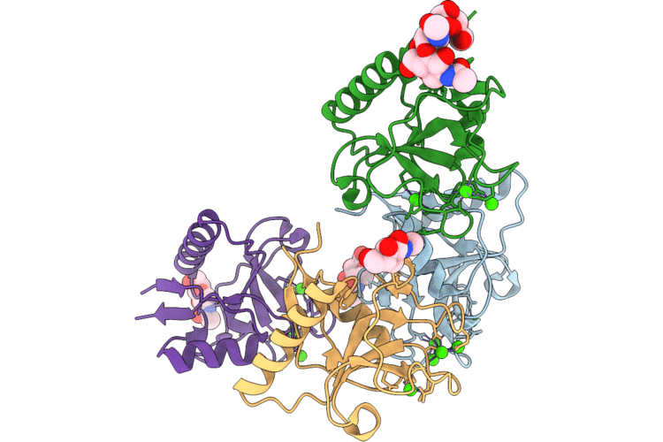 9TA0 image