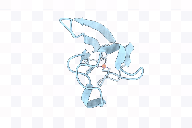 9TA4 image