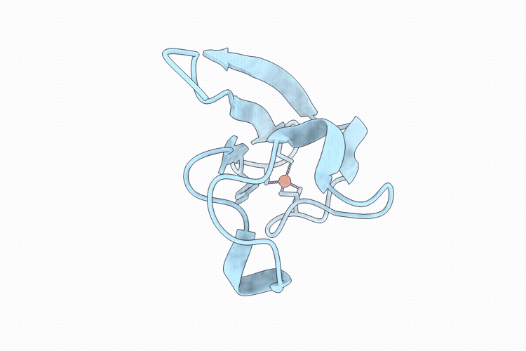9TA6 image