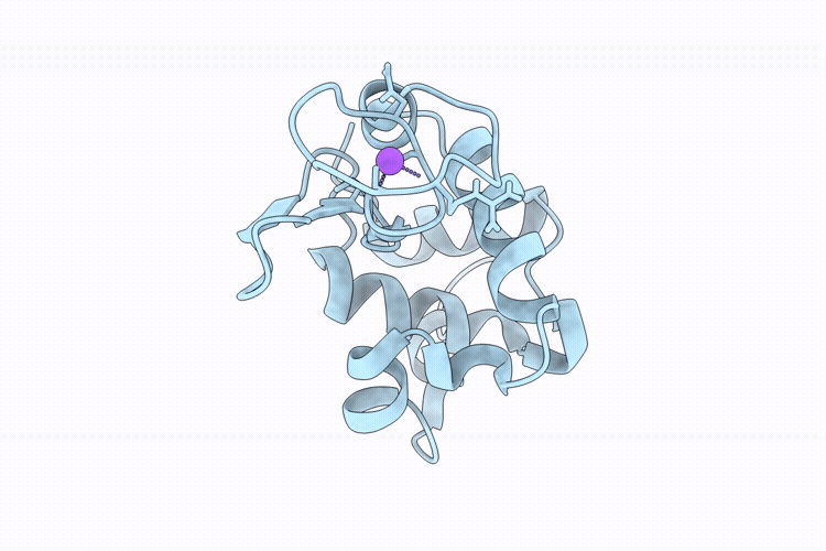 9TBL image