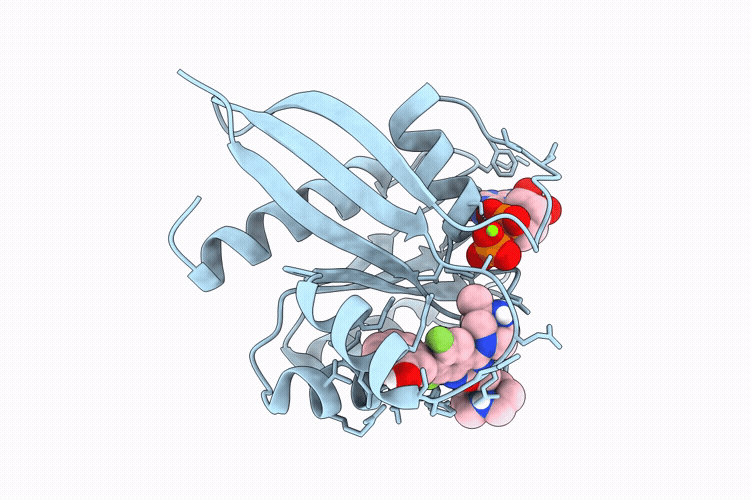9TBR image