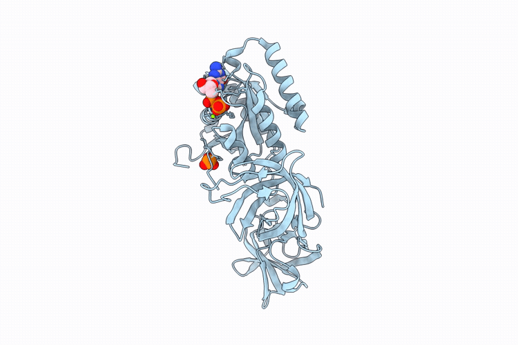 9TBU image