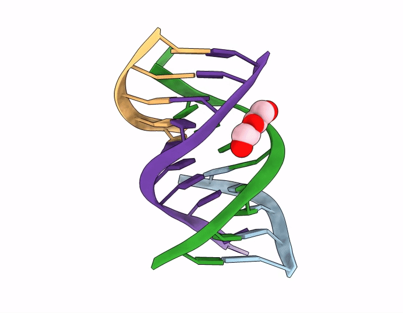 9TCA image