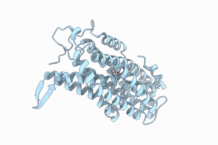 9TCD image