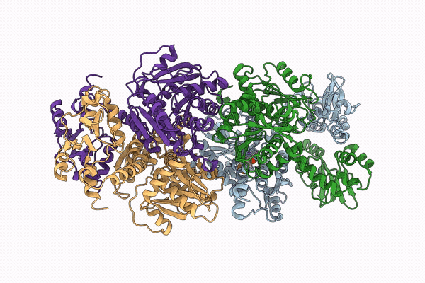 9TCF image