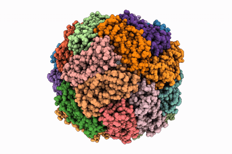 9TCN image