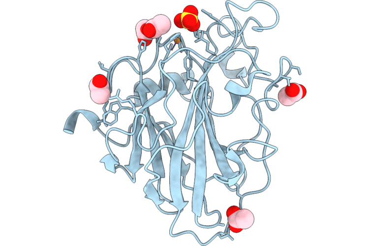 9TCV image