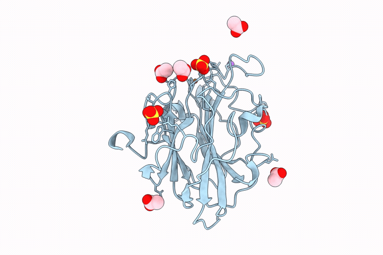 9TCX image