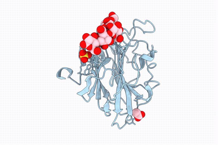 9TCZ image
