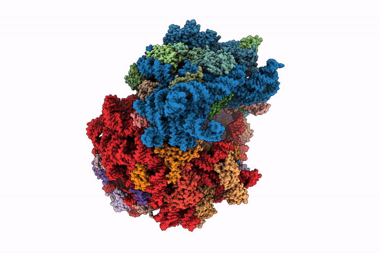 9TEX image