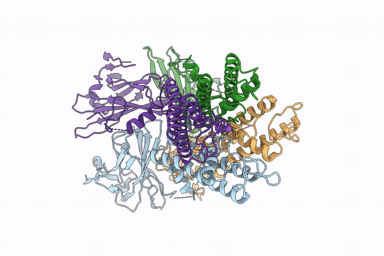 9TG3 image