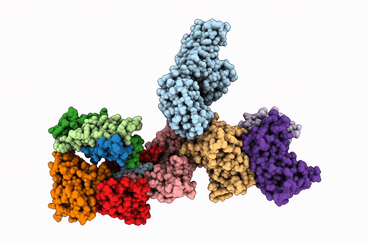 9TII image