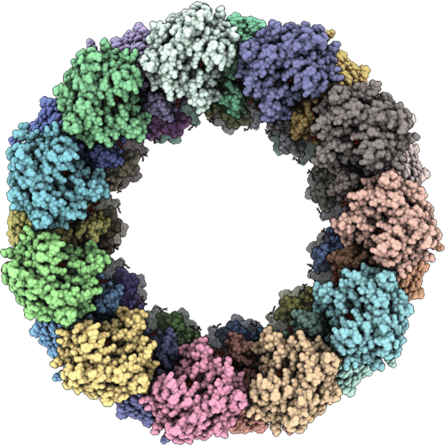 9TLB image
