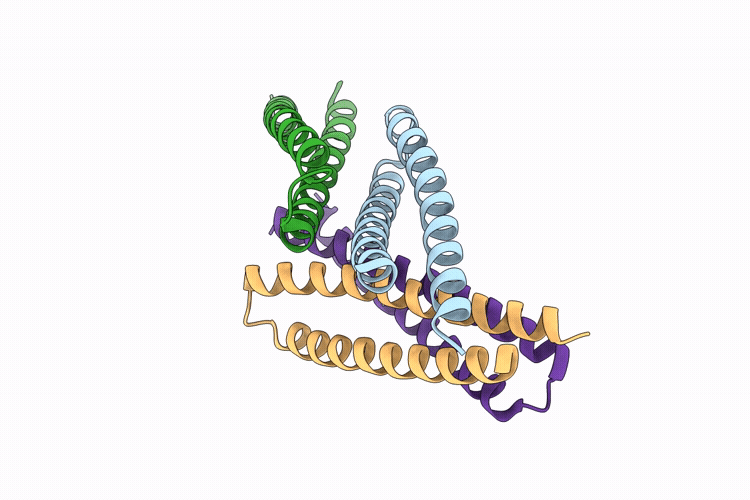 9TLP image