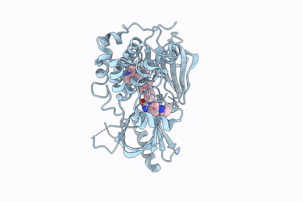 9TN3 image