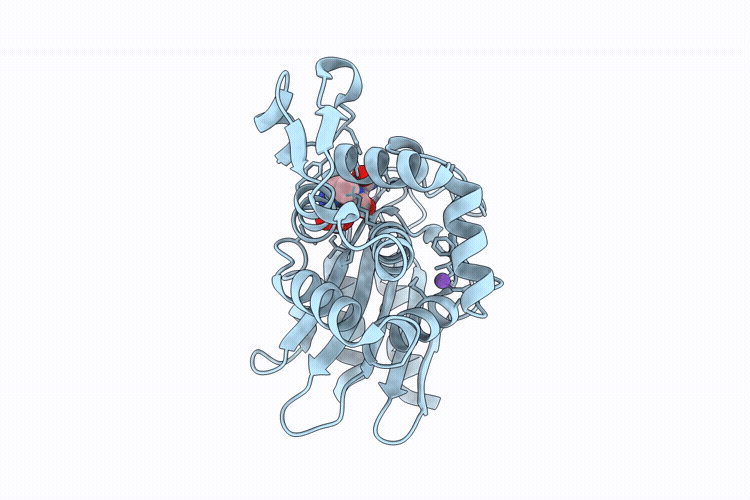 9TOK image