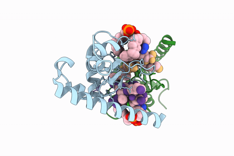 9TPH image