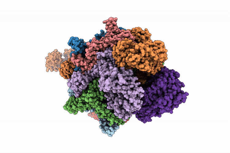 9TPS image