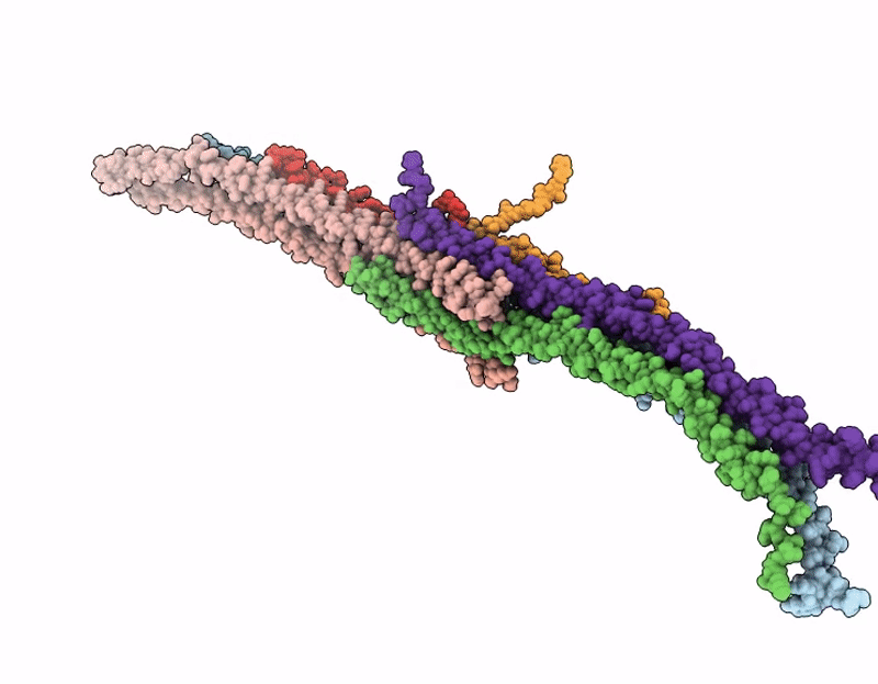 9TQB image