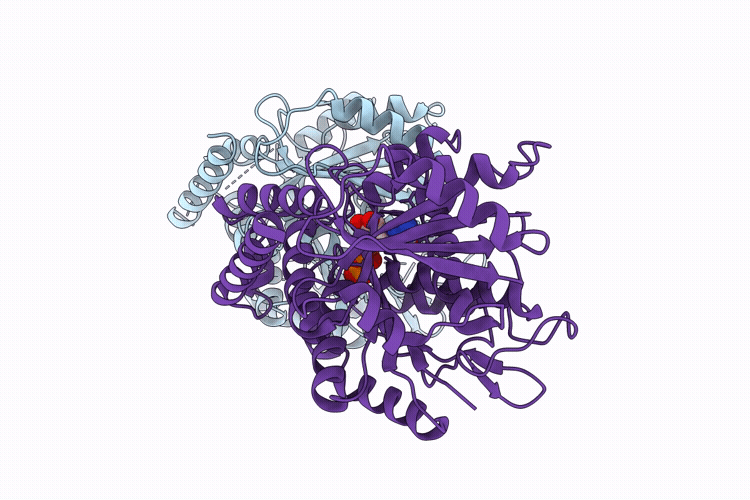 9TQJ image