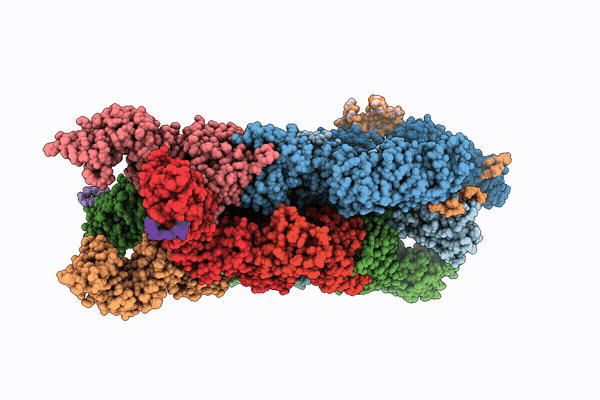 9TRD image