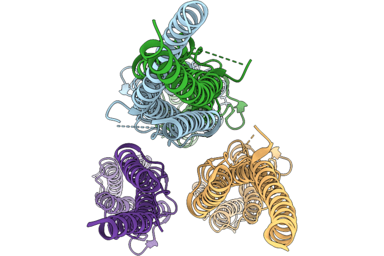 9TRK image
