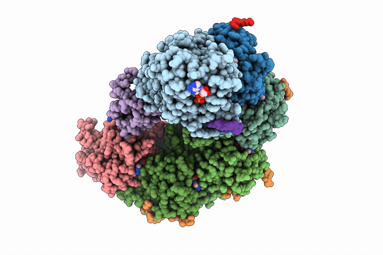 9TRL image