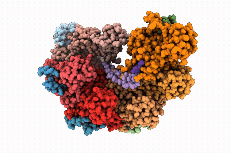 9TRM image