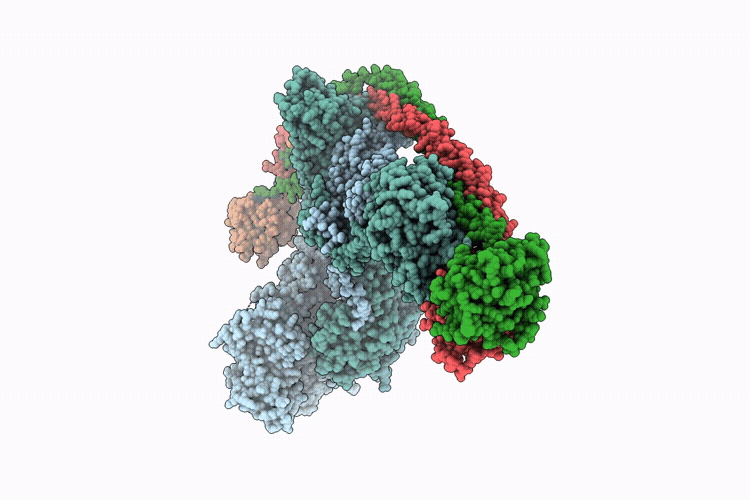 9TW2 image