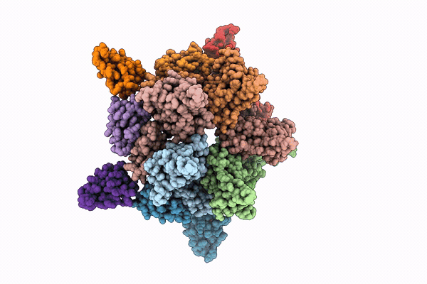 9TXA image