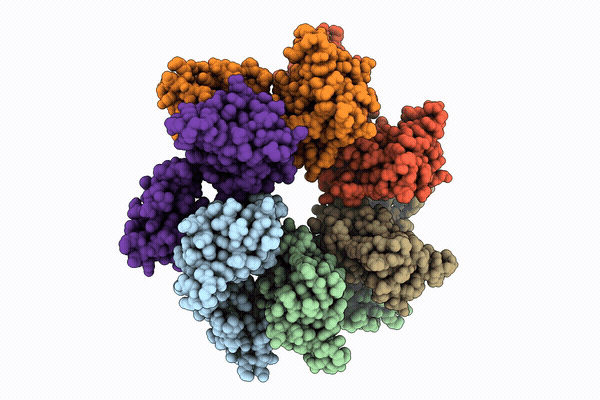 9TXB image