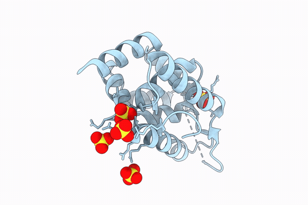9TXC image